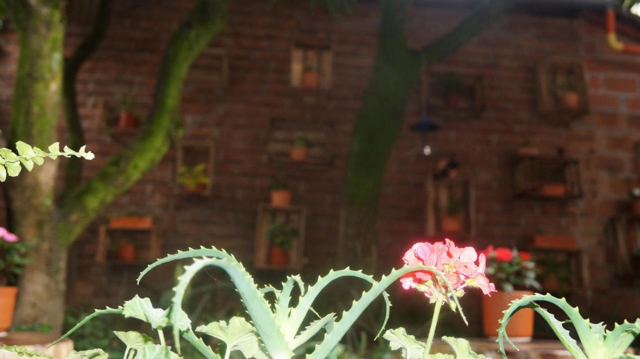 Hotel El Jardin De La 10 Medellín Exteriér fotografie