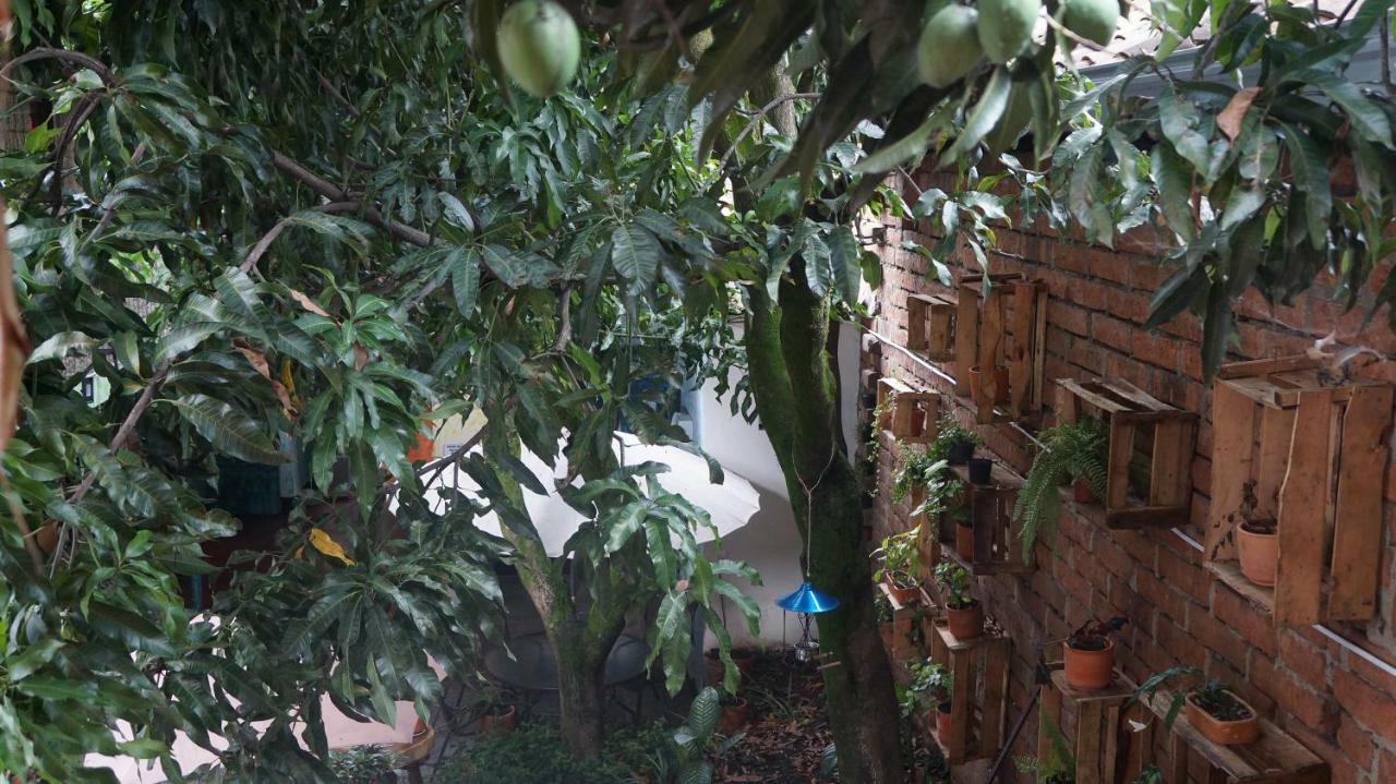 Hotel El Jardin De La 10 Medellín Exteriér fotografie